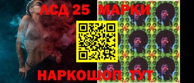 гидропоника Ставрополь