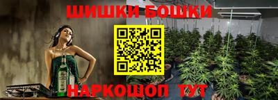 гидропоника Ставрополь