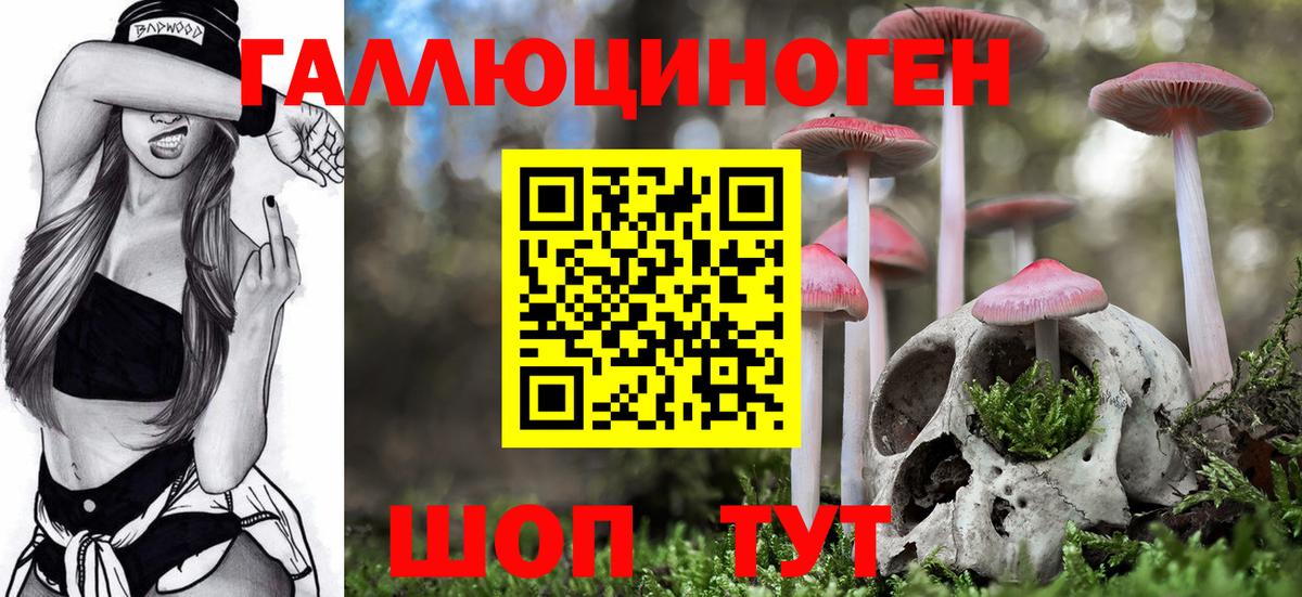 Галлюциногенные грибы GOLDEN TEACHER  Галлюциногенные грибы Cubensis  Чистополь  Вход с VPN 